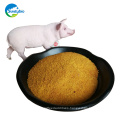 animal feed grade maize corn gluten meal with best price